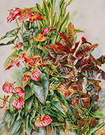 Anthurium & croton in watercolor by Lisa Hill