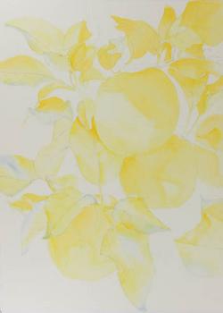 Watercolor painting demonstration of red apples step 1