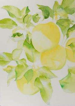 Watercolor painting demonstration of red apples step 2