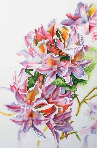 Watercolor demo of pink & white azaleas step 2