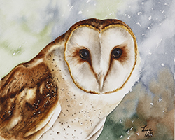 Watercolor painting of a Barn Owl by Richland WA artist Lisa Hill