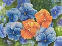 Bright blue & orange pansies  in watercolor by Lisa Hill