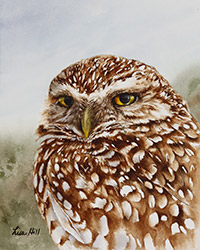 Watercolor painting of a Burrowing Owl by Richland WA artist Lisa Hill