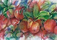 Apples in watercolor using negative painting techniques by artist Lisa Hill