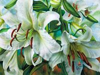 Floral watercolor painting of white oriental lilies by artist Lisa Hill titled "Casa Blanca"