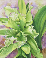 Green Cattlelya orchid in watercolor by Lisa Hill