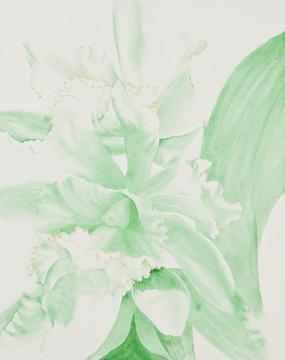 Step-by-step demonstration of a watercolor painting of green Cattleya orchids by Lisa Hill