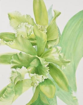 Step 3 of a demonstration of a watercolor painting of green Cattleya orchids by Lisa Hill