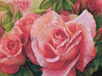 Vivid pink roses  in watercolor by Lisa Hill