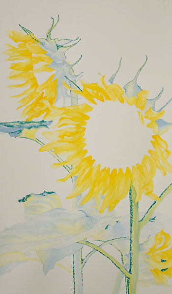 Watercolor demonstration of sunflowers by artist Lisa Hill Step 1