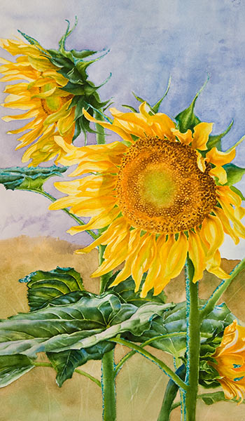 Watercolor demonstration of sunflowers by artist Lisa Hill Step 5