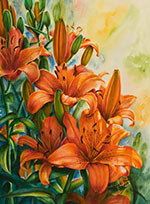 Orange Asiatic lilies in watercolor by Lisa Hill