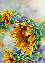 Sunflowers in watercolor by Lisa Hill