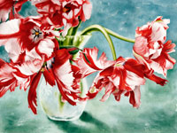 Watercolor painting of red and white parrot tulips by artist Lisa 