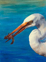 Great Egret in watercolor by artist Lisa Hill