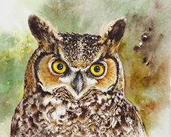 Watercolor painting of a Great Horned Owl by Richland WA artist Lisa Hill