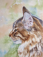 Long-haired tabby cat by Lisa Hill watercolor artist