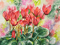 Watercolor painting of red Christmas cyclamen by artist Lisa Hill