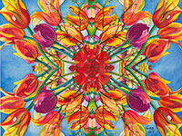 Colorful tulips watercolor painting by artist Lisa Hill