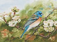 Watercolor painting of a Lazuli Bunting  by watercolor artist Lisa Hill