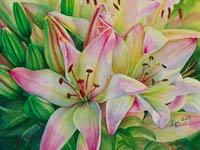 Pink & white Asiatic lilies  in watercolor by Lisa Hill