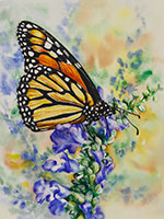 Monarch Butterfly on Salvia azurea by Lisa Hill