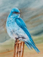Mountain Bluebird watercolor painting by Lisa Hill