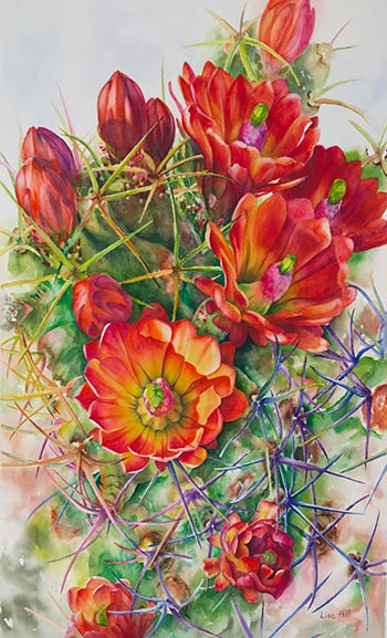 Watercolor painting of orange cactus flowers by Lisa Hill