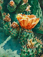 Orange cactus flower in watercolor by Lisa Hill