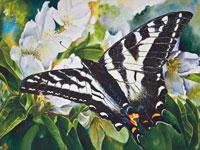 Watercolor painting of a swallowtail butterfly by artist Lisa Hill titled "Pale Tiger 'tail"