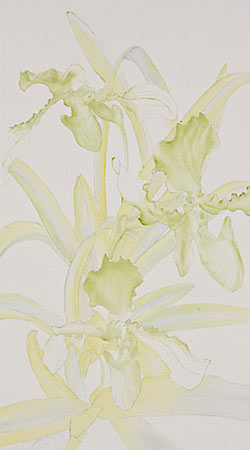 Watercolor demonstration of Lady Slipper Orchid by artist Lisa Hill Step 1