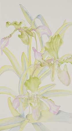 Watercolor demonstration of Lady Slipper Orchid by artist Lisa Hill Step 2
