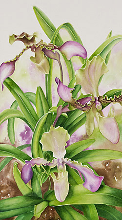 Watercolor demonstration of Lady Slipper Orchid by artist Lisa Hill Step 4