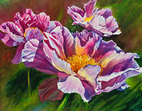 Bright pink peonies  in watercolor by Lisa Hill