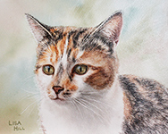 Tortoise shell cat in watercolor by Lisa Hill