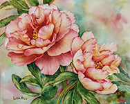 Peach peonies in watercolor by Lisa Hill