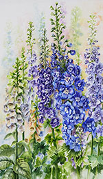 Watercolor painting of blue delphinium by artist Lisa Hill