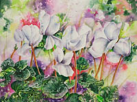 Watercolor painting of white Christmas cyclamen by artist Lisa Hill