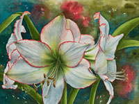  White Amaryllis in watercolor by Lisa Hill