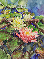 Pink & yellow water lilies in watercolor by Lisa Hill
