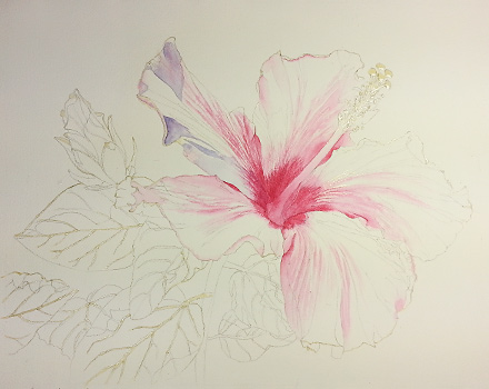 Watercolor demo of yellow hibiscus step 1 by artist Lisa Hill