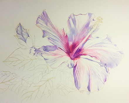 Watercolor demo of yellow hibiscus step 2 by artist Lisa Hill