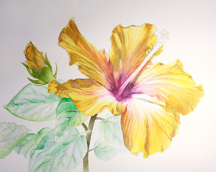 Watercolor demo of yellow hibiscus step 4 by artist Lisa Hill