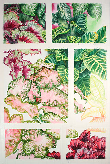 Watercolor demonstration of color foliage by artist Lisa Hill Step 5