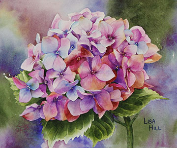 Pink hydrangea in watercolor by Lisa Hill
