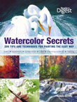 Watercolor Secrets: 200 Tips & Techniques by Robin Berry