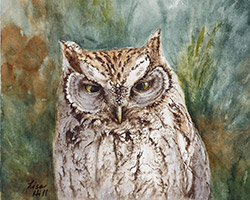 Watercolor painting of a Western Screech-Owl by Richland WA artist Lisa Hill