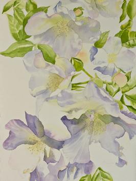 Step 2 of white roses watercolor painting demonstration