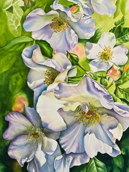 Step 5 of white roses watercolor painting demonstration