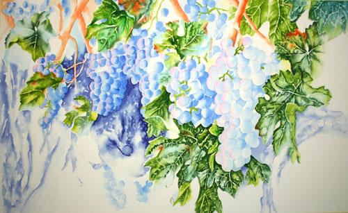 Watercolor painting demonstration of grapes on the vine - step 3